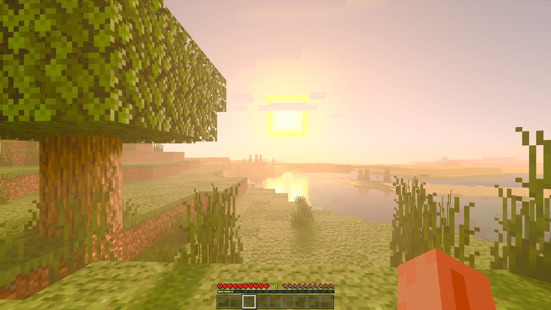 Minecraft Ray Tracing Live Play